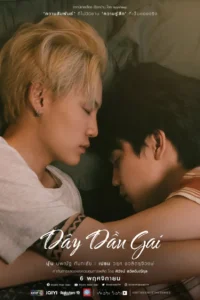 Dây Dầu Gai