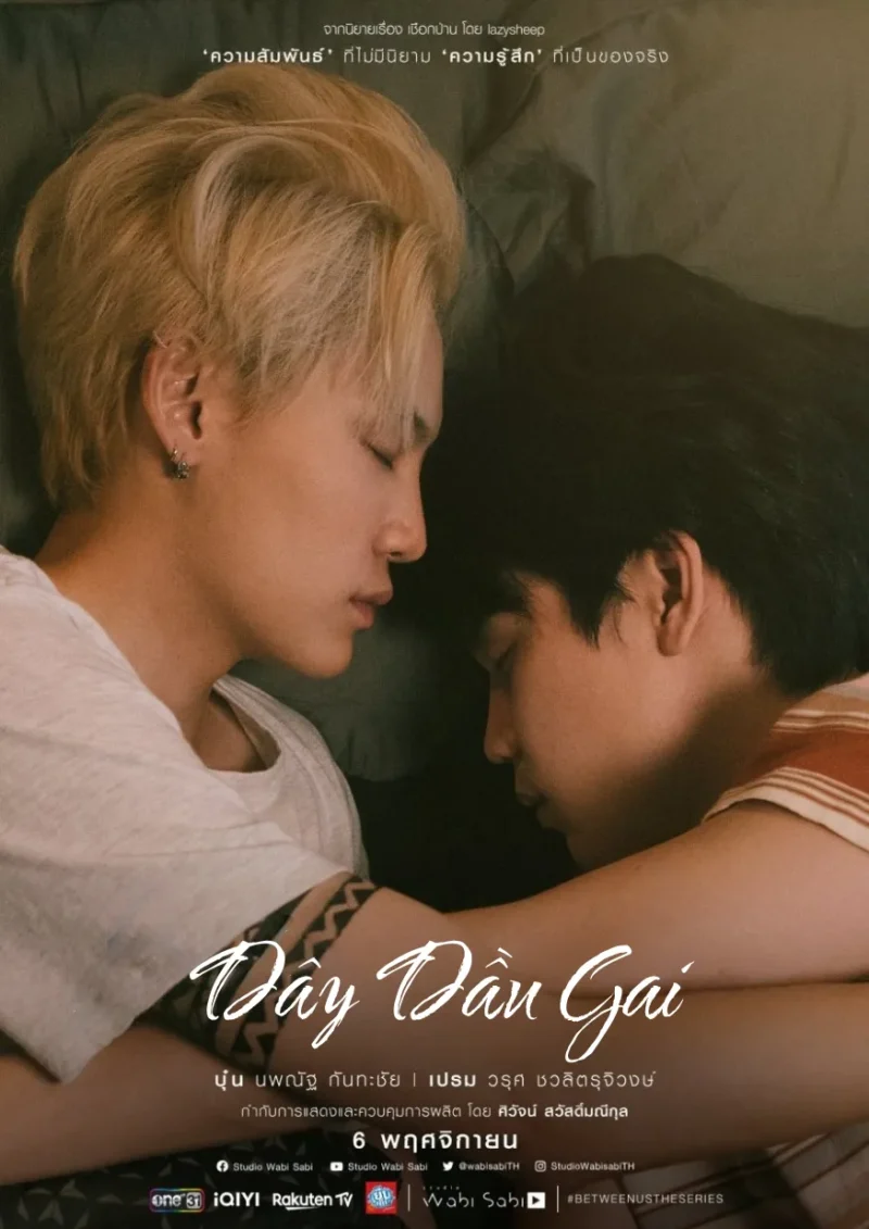 Dây Dầu Gai